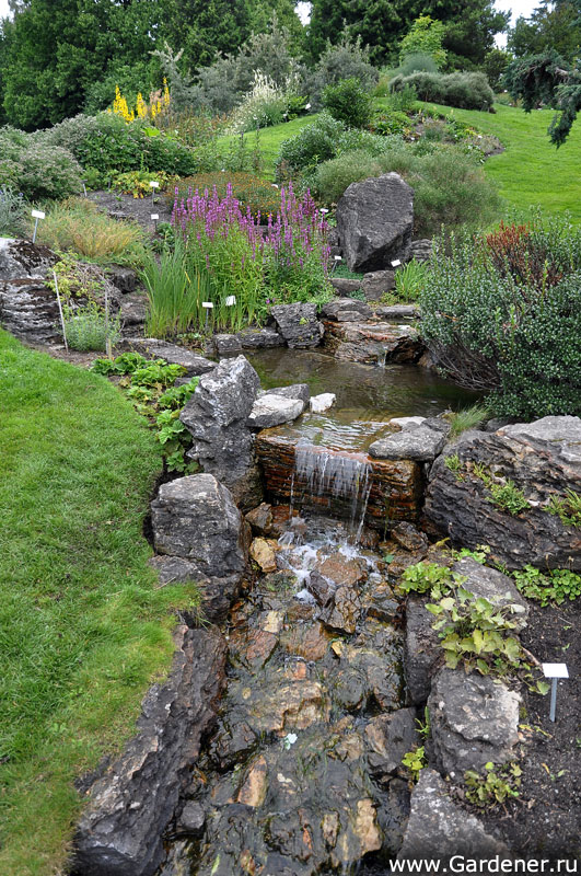 Botanical Garden (Oslo)